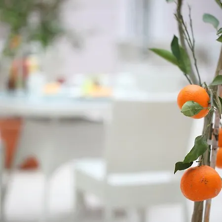 Hotel Luxor Garden 4*